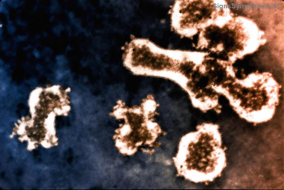 Family members embracing, illustrating emotional bonds in supporting melanoma patients