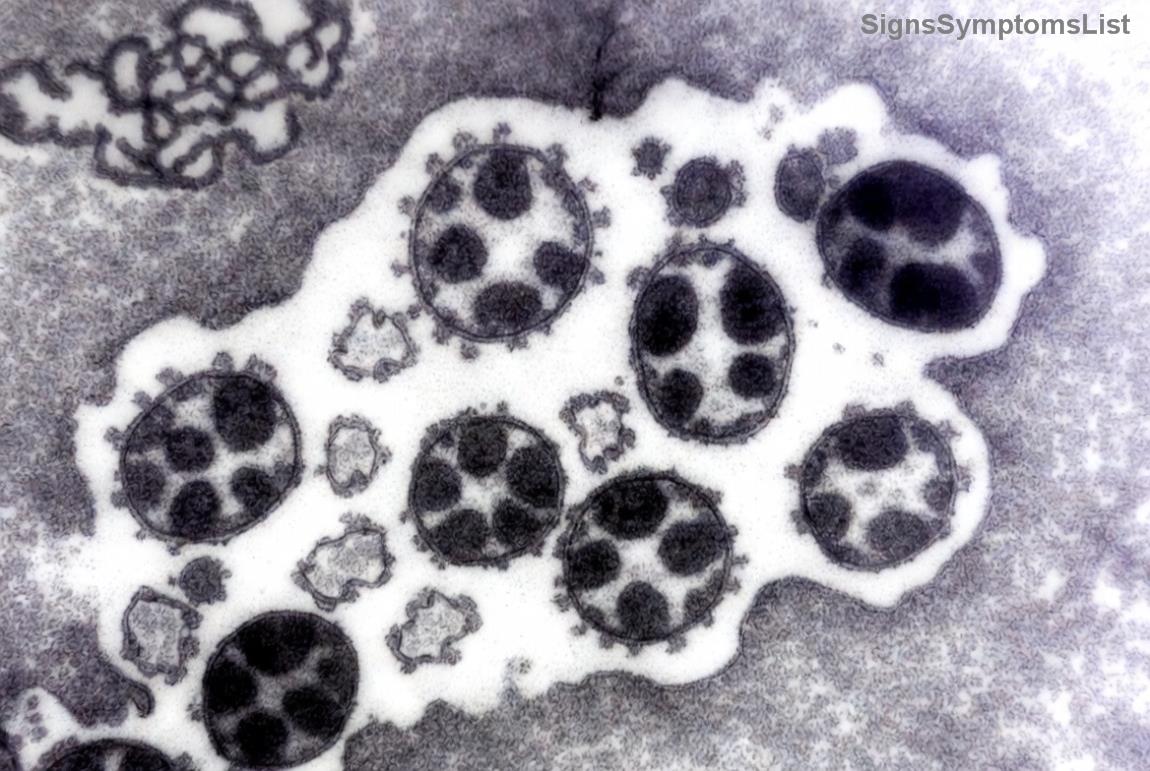 건강한 영양 식단을 상징하는 이미지: 신선한 채소와 과일