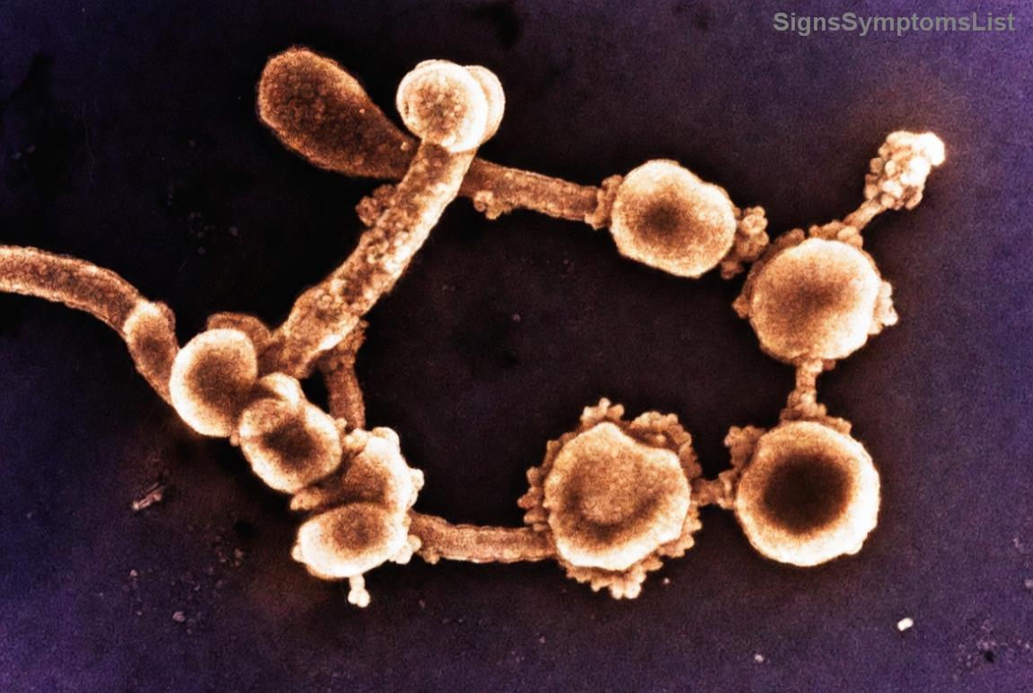 Supportive care for cervical cancer patients