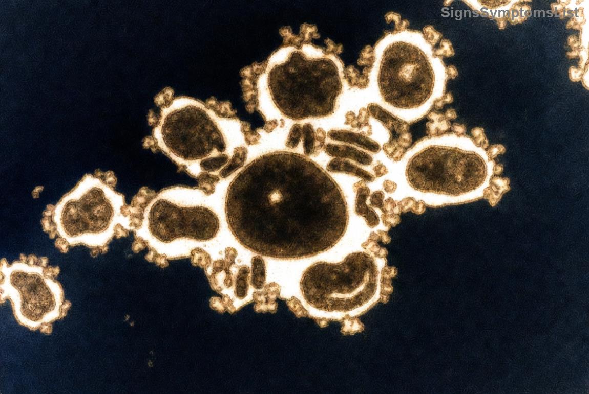 Healthy meal supporting gut health for mental well-being in cancer recovery