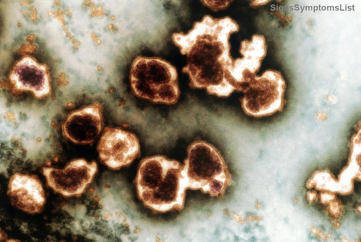 Balanced meal plate for cancer patients emphasizing nutrition myths debunked