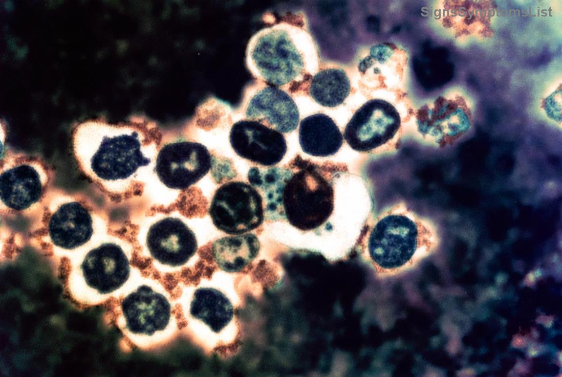 Patient enjoying a soft meal during recovery, showing positive eating experience