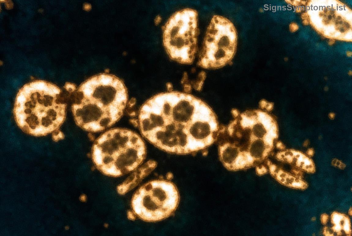 Habitudes saines pour atténuer la fatigue liée au cancer