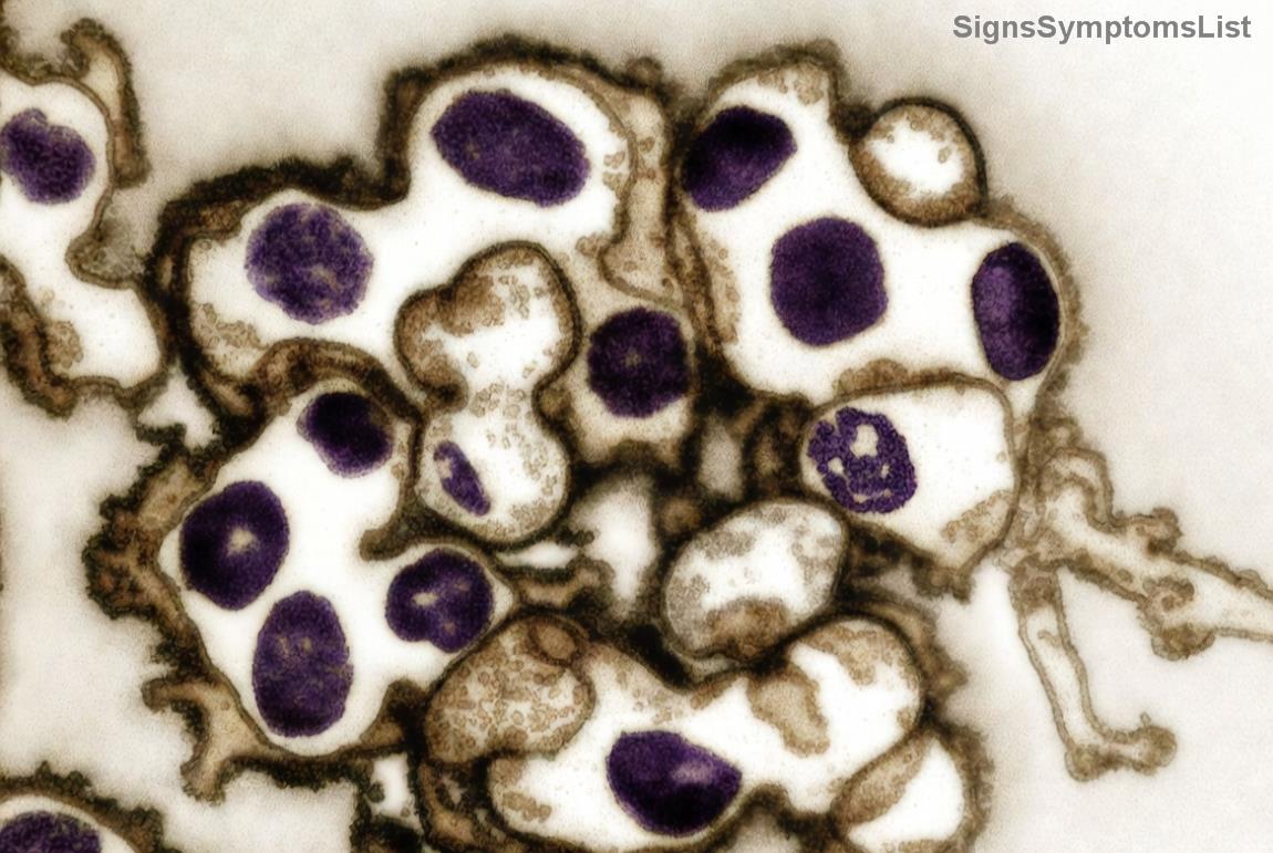 阳光下健康的皮肤与维生素食物