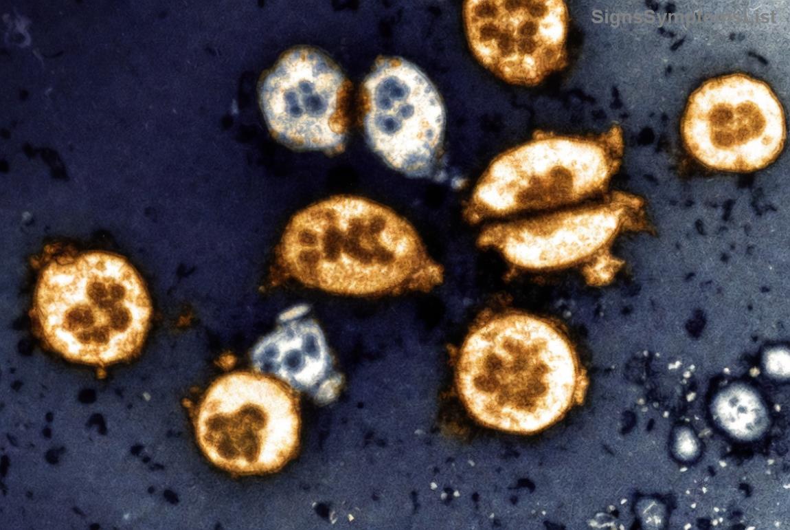 대장암 환자 장기 관리 이미지