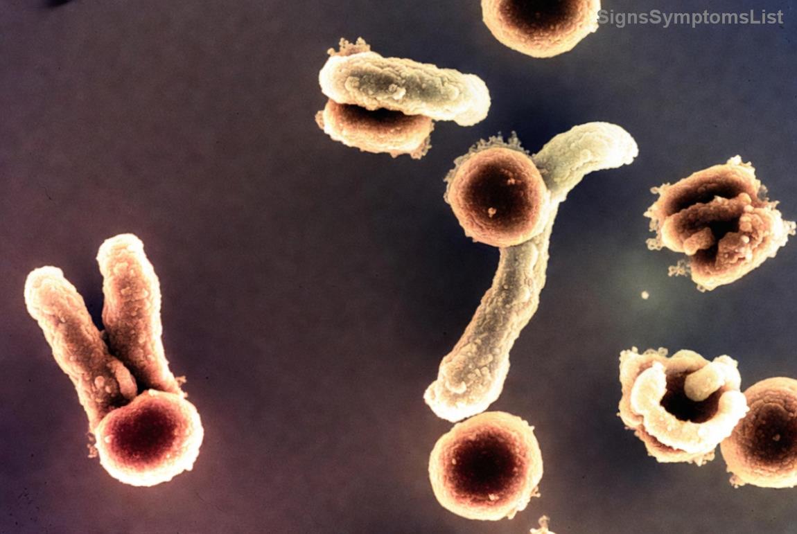 Colorectal cancer patient receiving supportive care