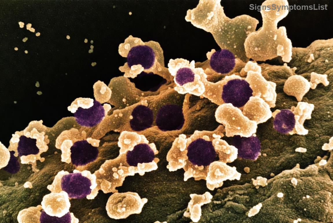 Illustration of healthy high-fiber foods for colorectal cancer recovery