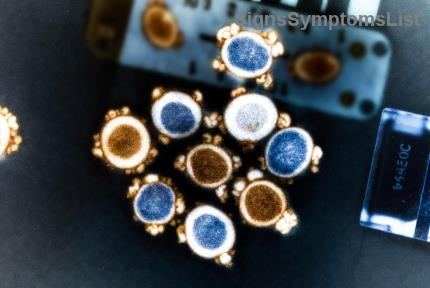 자궁경부암 식단: 면역 기능 강화와 치유를 돕는 필수 영양소 가이드