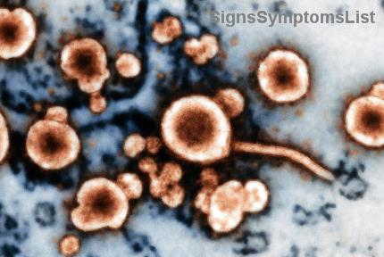 Is Breast Cancer Curable at Stage 1 & 2? Hopeful Insights and Proven Paths to Recovery