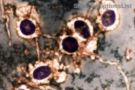 Delicious Low-Iodine Diet Recipes: Empower Your Thyroid Cancer Journey