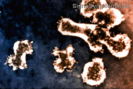 局部前列腺癌能治愈吗？揭秘最新治疗希望与成功率