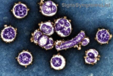 Is Anaplastic Thyroid Cancer Curable? Hopeful Insights and Treatment Paths