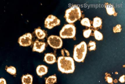대장암 환자 소화 건강 관리: 보호자가 알아야 할 실전 가이드