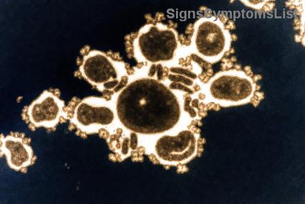 위암 수술 후 식사 가이드: 영양 회복을 위한 단계별 완벽 지침