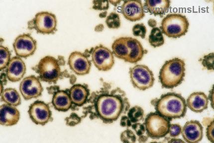 メラノーマ生存ガイド：栄養と皮膚保護のヒントで明るい未来を掴む患者さんへ