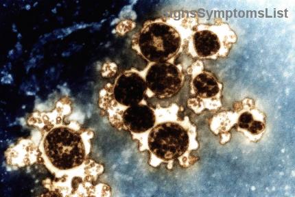 Alimentos Antiinflamatorios: Tu Aliado Poderoso en la Recuperación del Melanoma