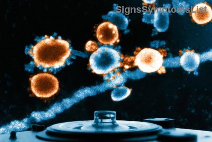 Blasenkrebs-Diät: Hydration und Lebensmittel für eine starke Blasen-Gesundheit – Ihre ultimativen Tipps