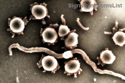 7 Heartfelt Ways to Support Your Partner After a Prostate Cancer Diagnosis