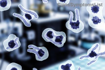 転移性膵臓がんは完治する？最新の希望と現実的な解決策を探る