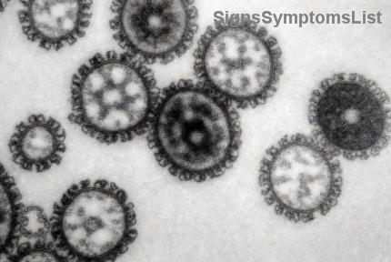 ¿Es Curable el Cáncer de Pulmón en Etapas Tempranas (Etapa 1 y 2)? Esperanza y Soluciones Reales