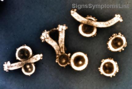 Unlock Healing: How Anti-Inflammatory Foods Supercharge Melanoma Recovery