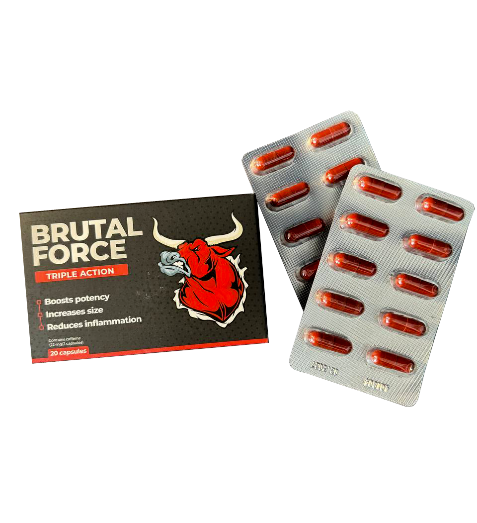 Unlock Massive Gains: How to Buy Official Brutal Force in Georgia with 50% Discount & Top Benefits Revealed