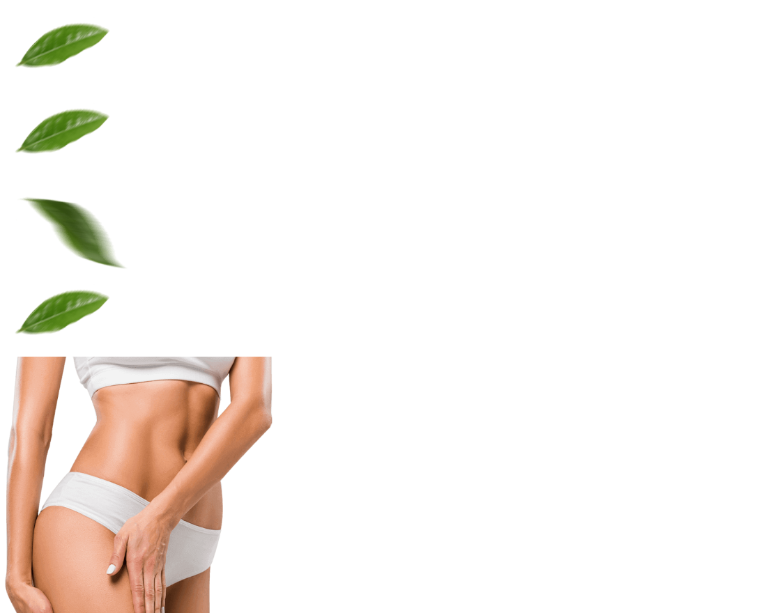 Imagen de Matcha Suri en empaque premium