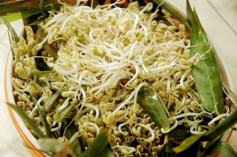 Tips for treating cough with bean sprouts are extremely simple and effective