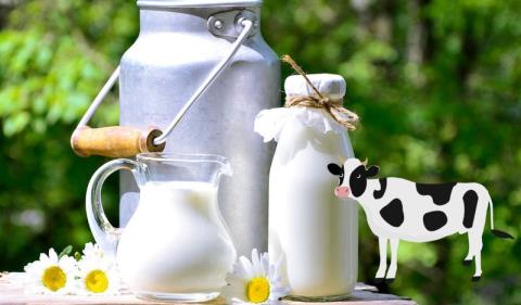 Low carb can drink milk? Which type of milk is good for low carb?