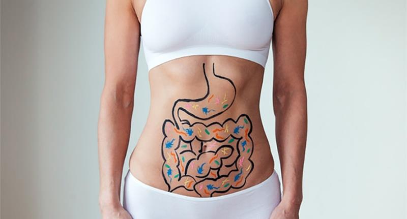 What is the link between gut health and the brain?