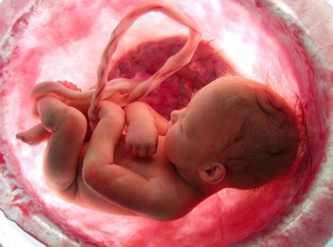 What are the causes of unborn baby?