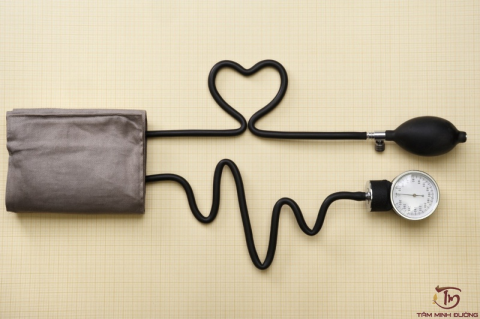 心拍数と血圧の違いと関係