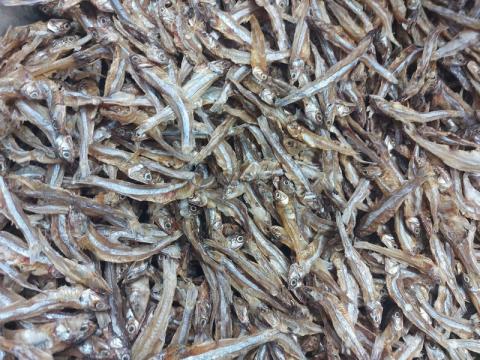Pouvez-vous manger des anchois? Avantages pour la santé des anchois pour les femmes enceintes