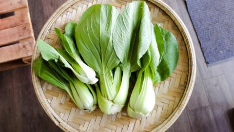 Can pregnant women eat bok choy? Some uses of bok choy for pregnant women