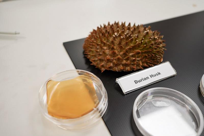 Is durian peel edible?  What are the benefits of eating durian skin?