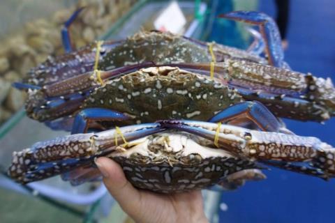 Can pregnant women eat crabs? The benefits pregnant women need to know about this seafood