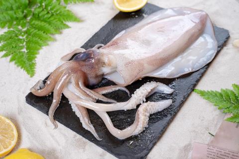 Can pregnant women eat squid after cesarean section? What should be noted when eating squid?