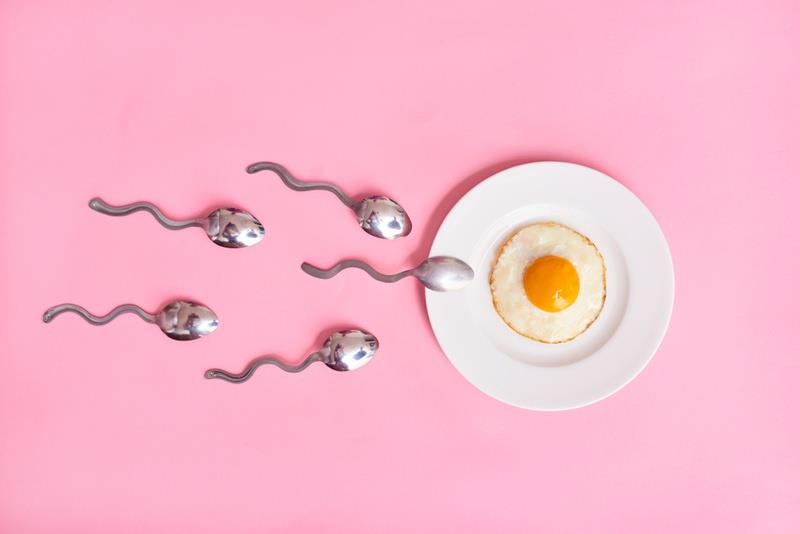 The best way to prepare eggs to give birth to a boy is what you should know