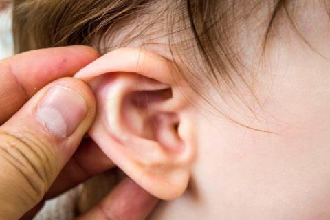 Инфекции среднего уха и способы лечения среднего отита чесноком просты и эффективны