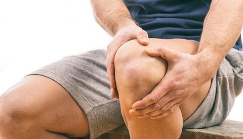 The kneecap: Structure and function
