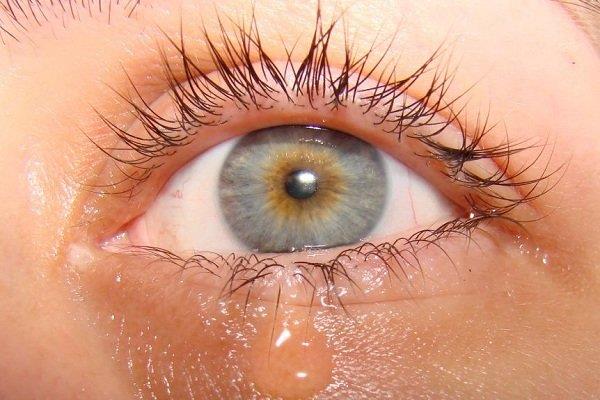 ต่อมน้ำตา: ลักษณะทางกายวิภาคและการทำงาน