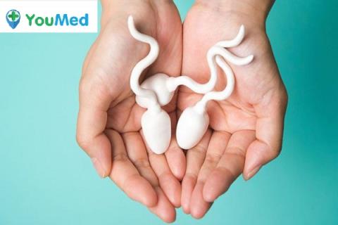 Maneras de ayudar a aumentar la calidad del esperma y la fertilidad que necesita saber