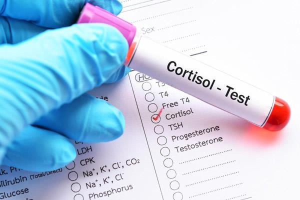 Cortisol: The stress hormone and what you should know
