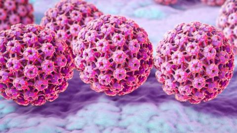 What are anti-HPV drugs?