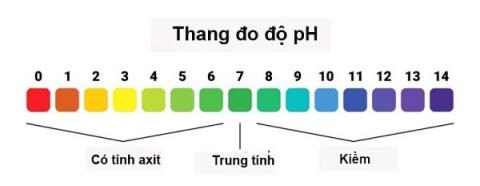 ค่า pH ของช่องคลอดและสิ่งที่คุณต้องรู้