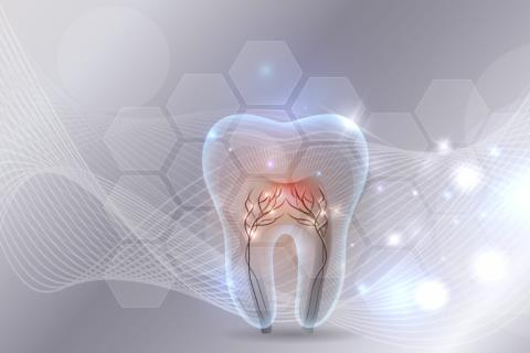 Zahnschmelz: Die stärkste Struktur im Körper!