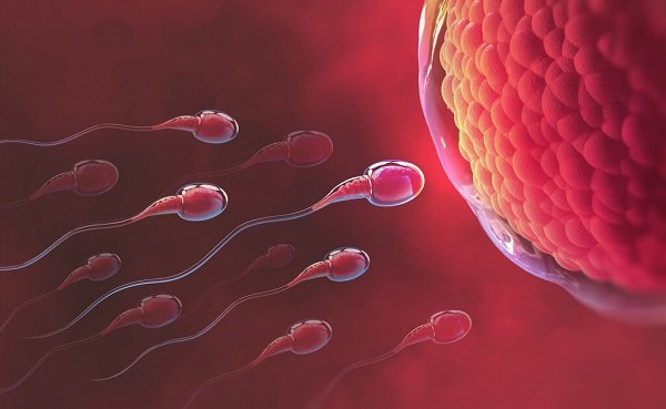 Hamile kalmak için hangi gün seks yapılmalı?  Hamile kalma şansınızı artırmak için ipuçları