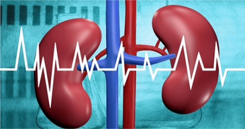 Zwężenie tętnicy nerkowej: objawy, diagnostyka i leczenie