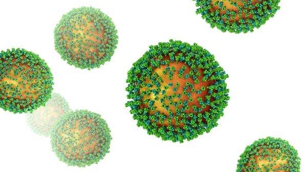 Flu perut: gambaran umum, manifestasi, pengobatan dan pencegahan