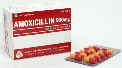 ยาปฏิชีวนะอะม็อกซีซิลลิน: การใช้ การใช้ และข้อควรระวัง